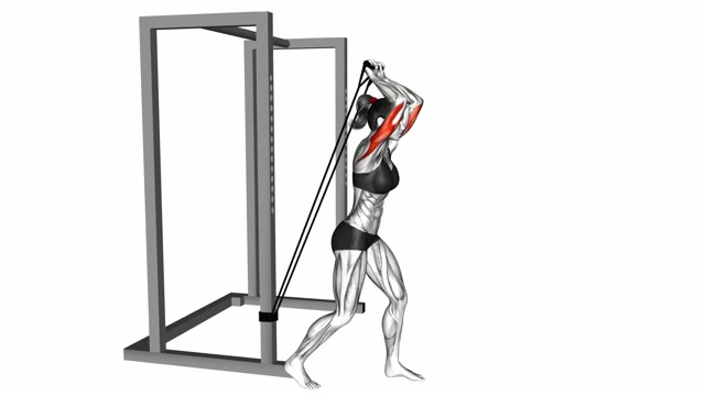 Triceps